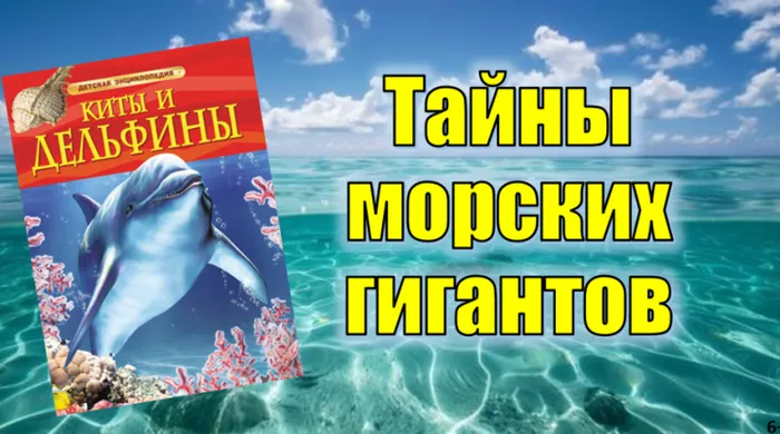 2026-07-24_11-31-26-800x445