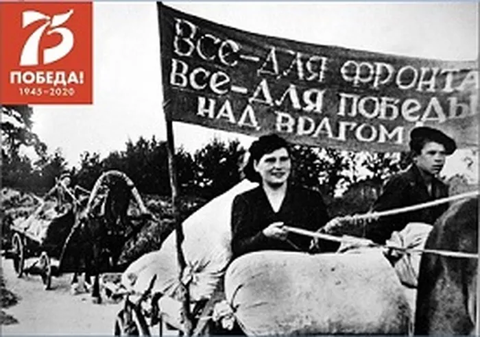 пшеница50-1