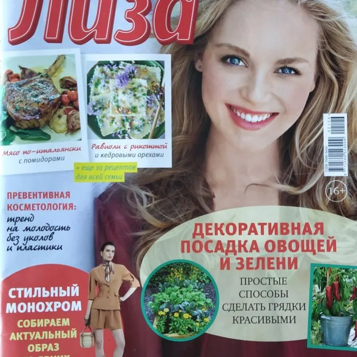 Журнал «Лиза»