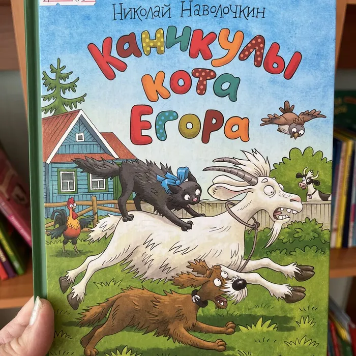 Книга Николая Наволочкина «Каникулы кота Егора»