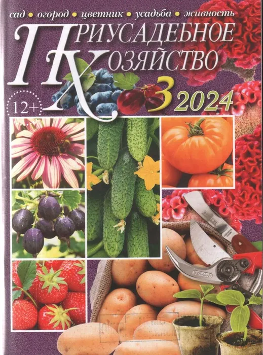 3-759x1024