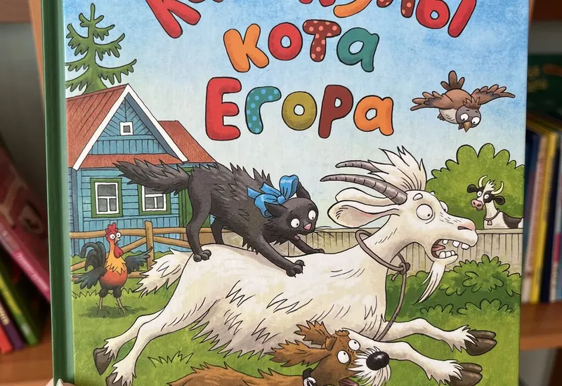 Книга Николая Наволочкина «Каникулы кота Егора»