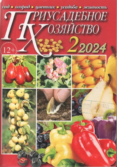 2-718x1024