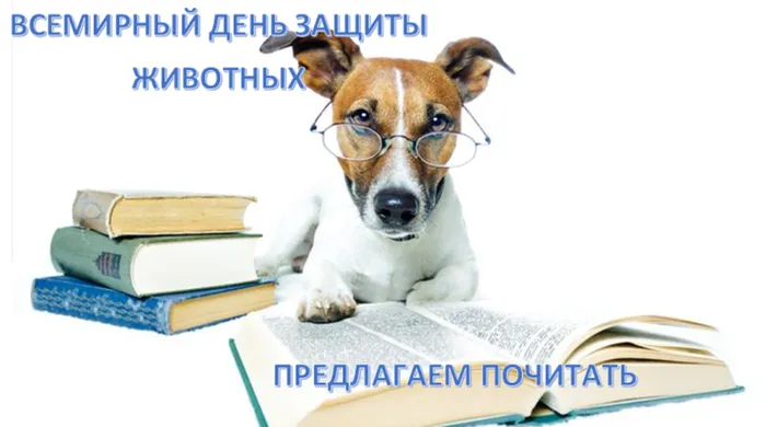 день-защиты-животных-800x445