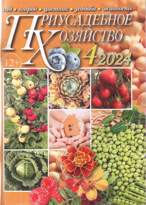 4-1096x1536