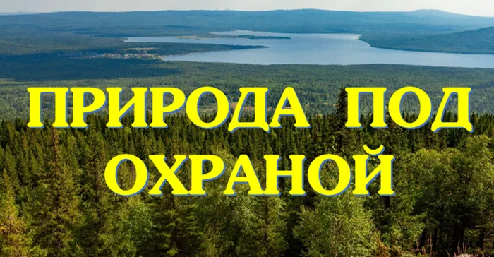 2026-04-15_12-25-34-800x416